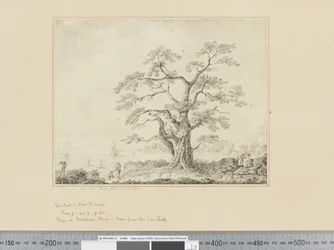 View on Sea Shore, Large Tree in Centre
