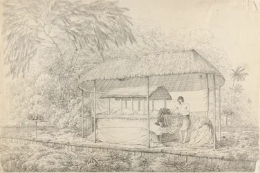 Waheiadooa, Chief of Oheitepha, Lying in State