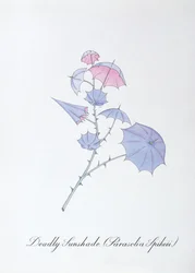 Deadly Sunshade, Illustration from 
