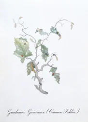 Gardener