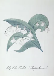 Lily of the Ballet (Terpsichorea), Illustration from 