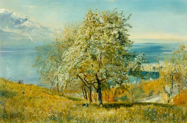 An Alpine Lake