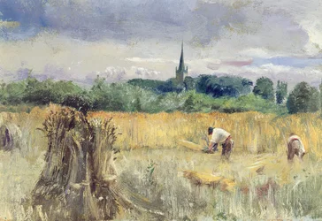 Harvest Field, Stratford-upon-Avon