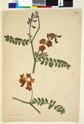 Page 262. Signed: I.W.L. 30 Nov. 1805