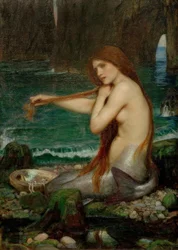 A Mermaid