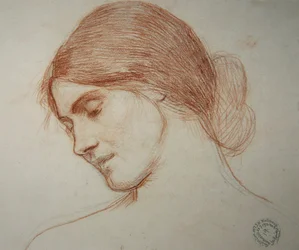 Head of a young girl, to the left