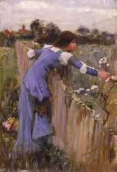 The Flower Picker