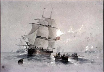 Unknown Image