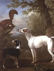 Two Sporting Dogs Attracted by a Squirrel on a Tree Stump