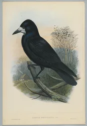 Unknown Image