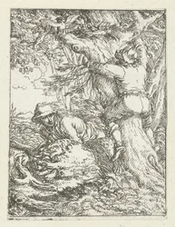 The Nest Robber