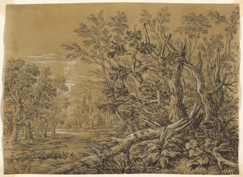 Stream through an Ancient Forest