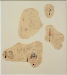 The Senses as Control Tools