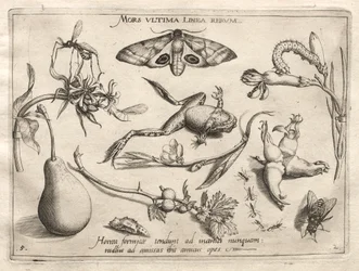 Archetypes and Studies: Death is the line that marks the end of all Part II, plate 5, 1592