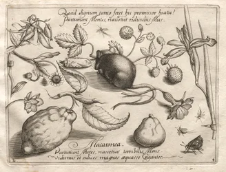 Archetypes and Studies: What can emerge in keeping with such a cavernous promise? (Part IV, plate 2)