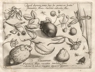 Archetypes and Studies: What Can Emerge in Keeping with Such a Cavernous Promise