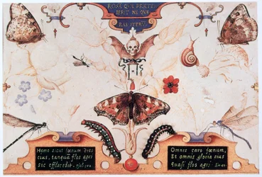 Diptych with Flowers and Insects
