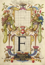Guide for Constructing the Letter F