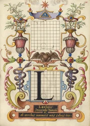 Guide for Constructing the Letter L