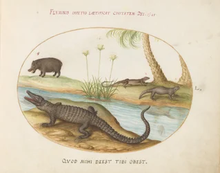 A Crocodile(?), a Hippopotamus(?), and Two Lizards with a Papyrus Plant (Plate 50)