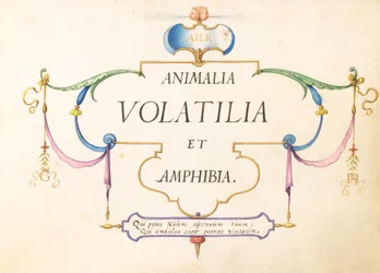 Title Page