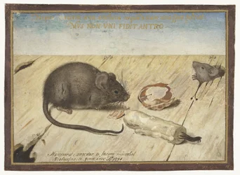 Two Mice