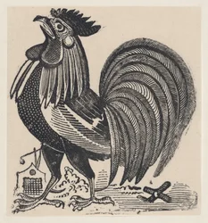 A Rooster, ca. 1880-1910