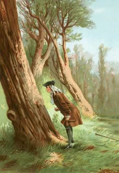 Reaumur studying insects