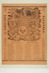 The Starving Calavera