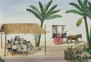 Unknown Image