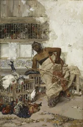 Poultry Market, Tangiers, c.1881