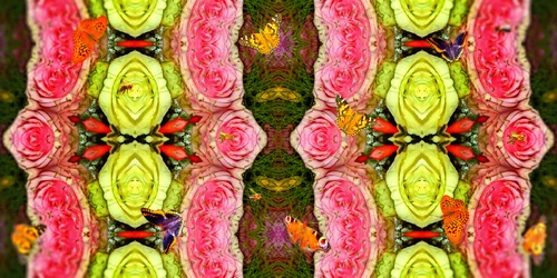 Creatures: Bees and Butterflies in the Rose Garden