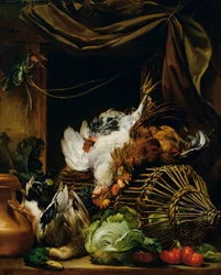 Still Life