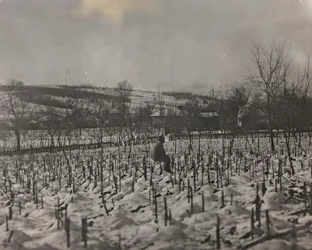 Military cemetery (b/w photo)