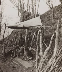 Album "Meine weltkriegs - Erinnerungen South-West Front (Carinthia, Italy, South Tyrol) 31/03/1915-12/11/1918 - Josef Zohles Wien": military dog under a tent