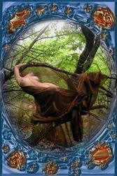 In the Forest