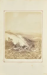 On the Mountain Tops