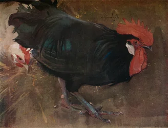 The Black Cock, c. 1894