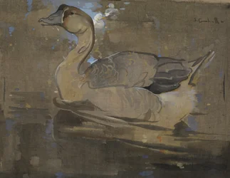 The Chinese Goose