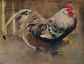 The Spangled Cock, 1903, 1935