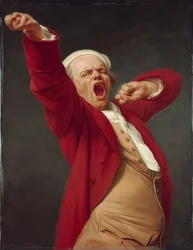 Self-Portrait, Yawning. 1783