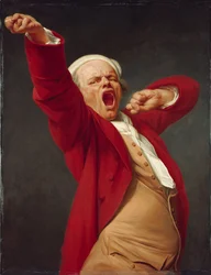 Self-Portrait, Yawning, ca. 1783