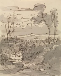 Trees and Hilly Landscape