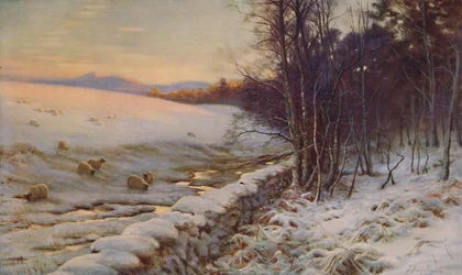 The Edge of the Wood