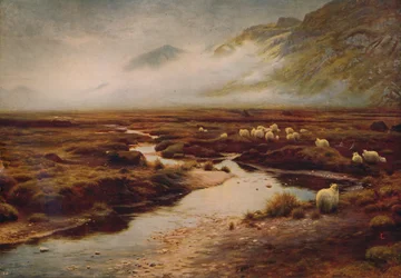 The Moss at Poolewe