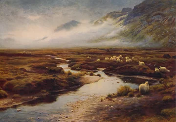 The Moss at Poolewe
