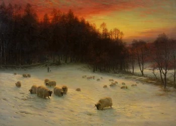 When the West with Evening Glows
