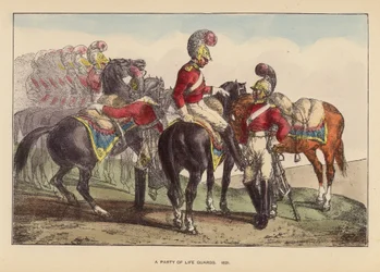 A Party of Life Guards