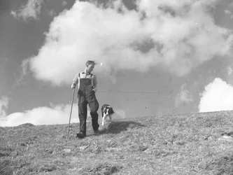 A Shepherd and His Sheepdog Out Walking in Martindale
