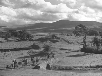 Children and adults carrying tree branches over a bridge, possibly for a bonfire